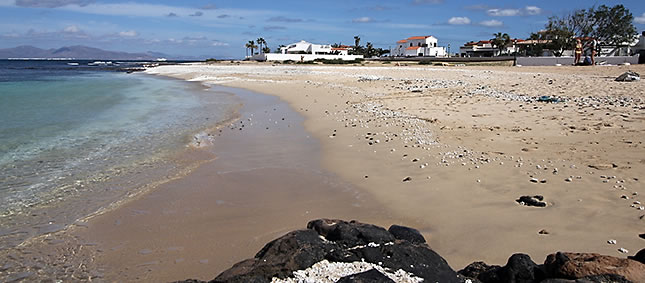 Properties for sale in Fuerteventura