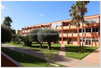Parque Holandes, Fuerteventura - Thumbnail 16 Parque Holandes, Fuerteventura - Thumbnail 16