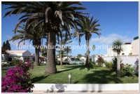 Corralejo, Fuerteventura - Thumbnail 12