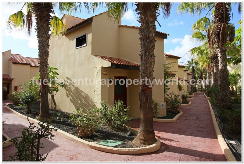 Parque Holandes, Fuerteventura - Photo 2