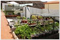 Villaverde, Fuerteventura - Thumbnail 13 Villaverde, Fuerteventura - Thumbnail 13