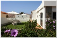 Villaverde, Fuerteventura - Thumbnail 10