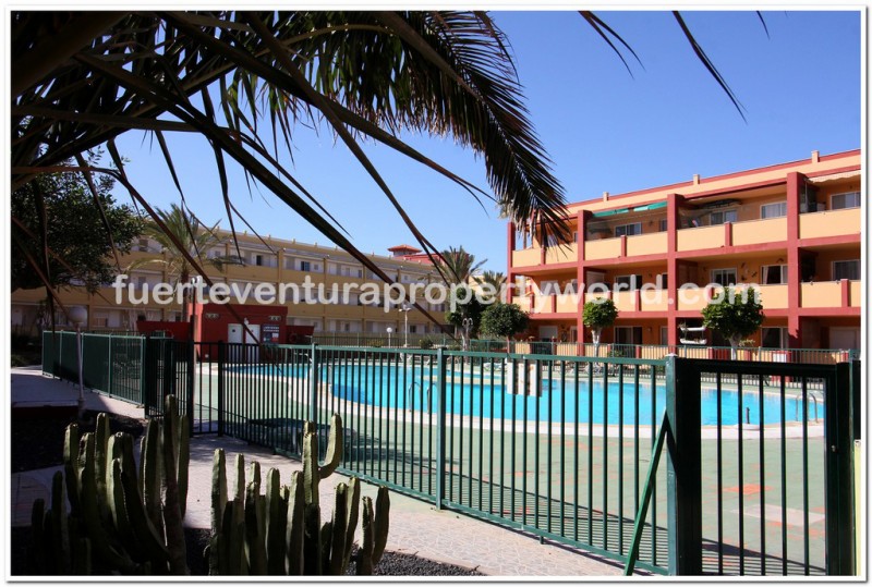 Parque Holandes, Fuerteventura - Photo 1