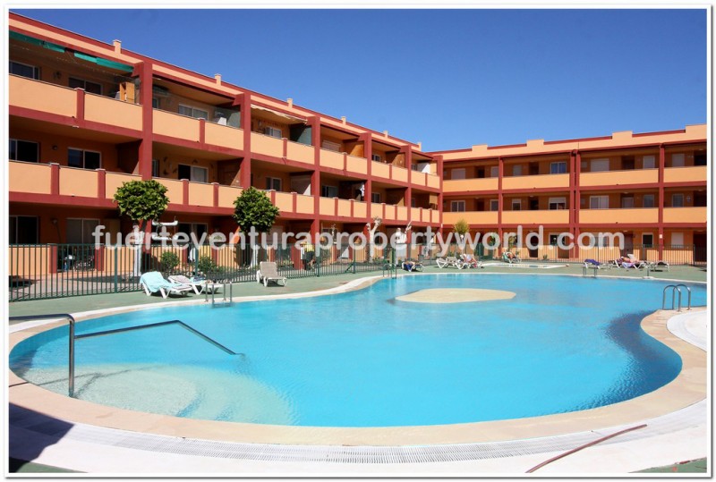 Parque Holandes, Fuerteventura - Photo 17