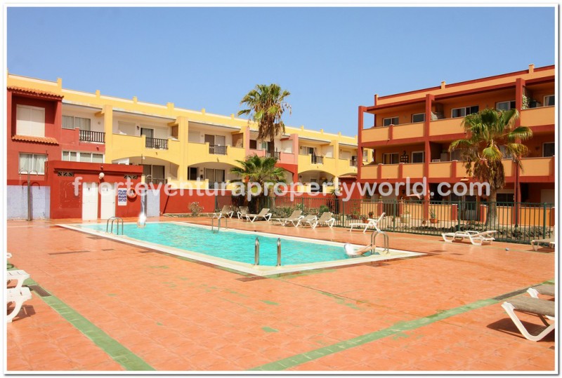 Parque Holandes, Fuerteventura - Photo 4